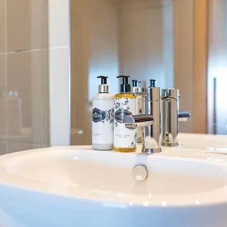 Sunny Loft In Downtown With Private Parking 公寓 *