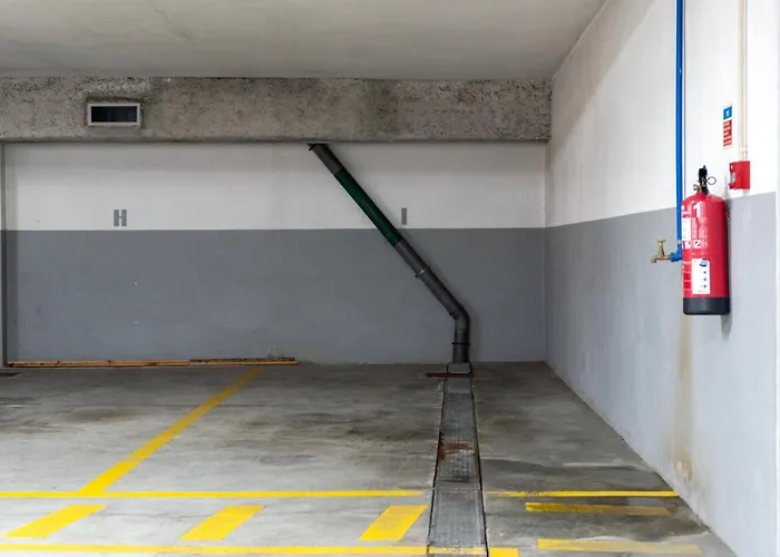 Sunny Loft In Downtown With Private Parking